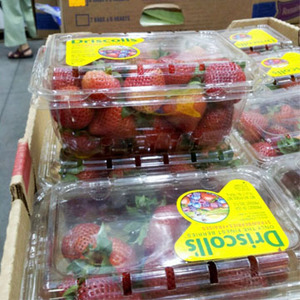 YS003B 水果盒